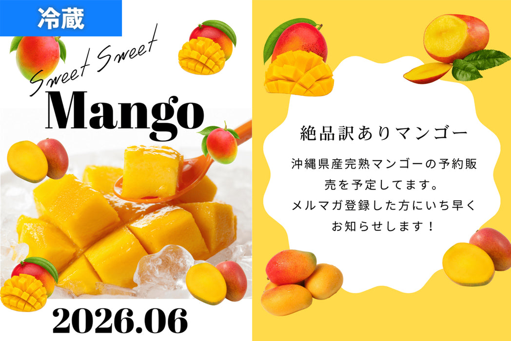 【訳あり】沖縄県産完熟マンゴー(1.2kg目安)