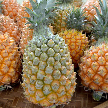 2023年の販売開始！小橋川さんのスナックパイン