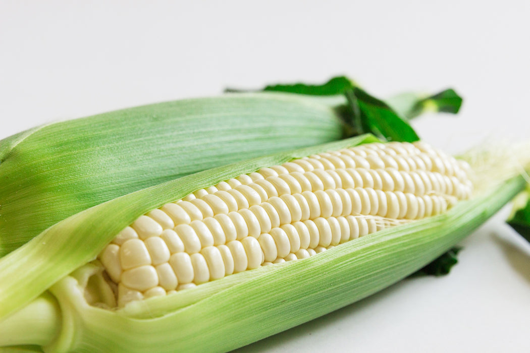 予約受付開始！【汐風パール】7kg(24〜27本)前後 冬に旬を迎える沖縄産白いとうもろこし