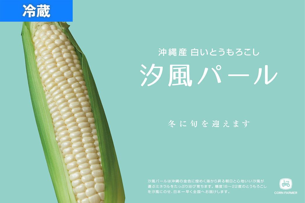 予約受付開始！【汐風パール】7kg(24〜27本)前後 冬に旬を迎える沖縄産白いとうもろこし