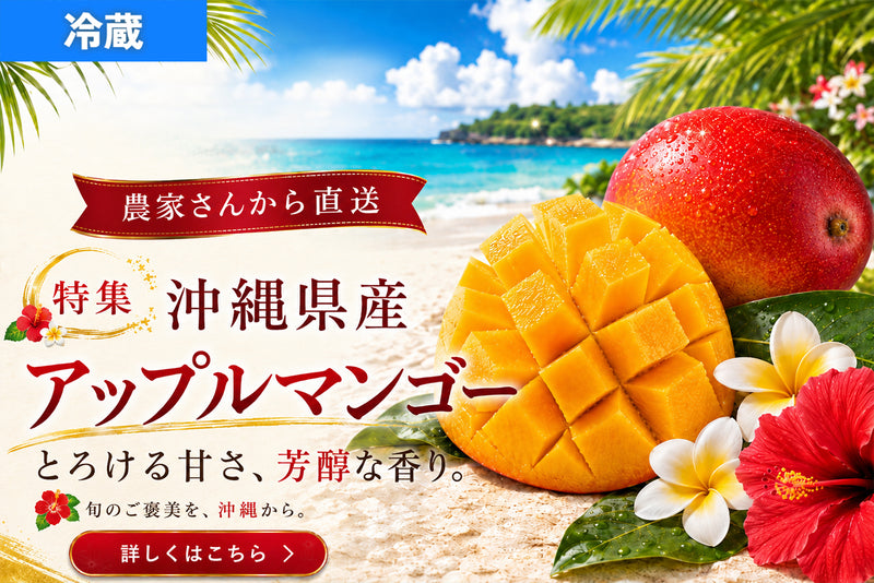 高級アップルマンゴー 優良品（秀品）２個入り（総重量600g以上目安）
