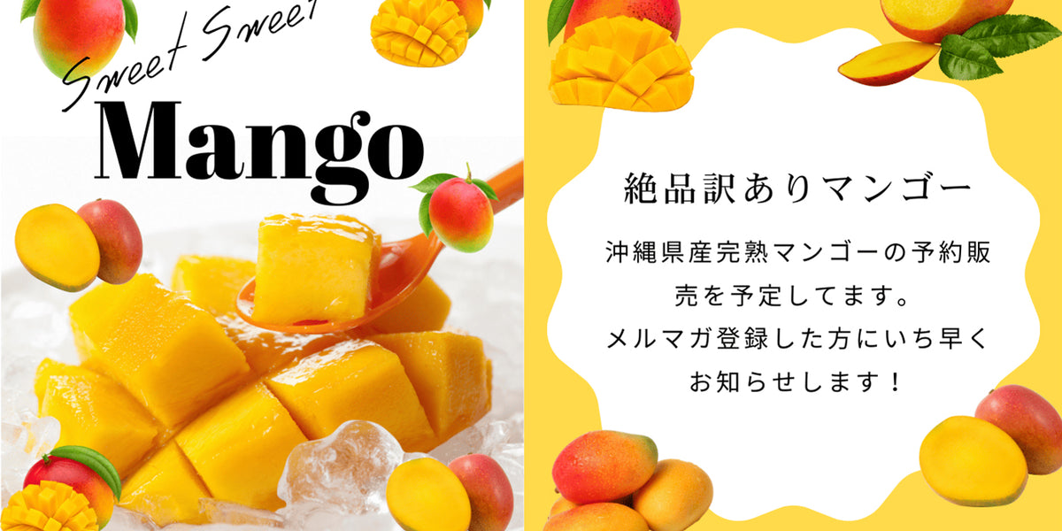 訳あり】沖縄県産完熟マンゴー（1.2kg目安） — 沖縄産直市場オンライン