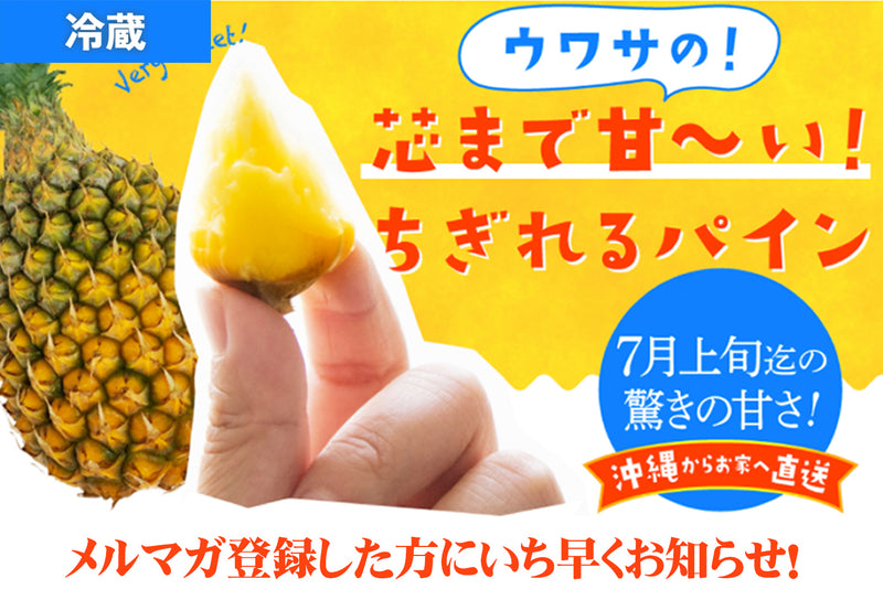 沖縄県産スナックパイン（2kg目安）