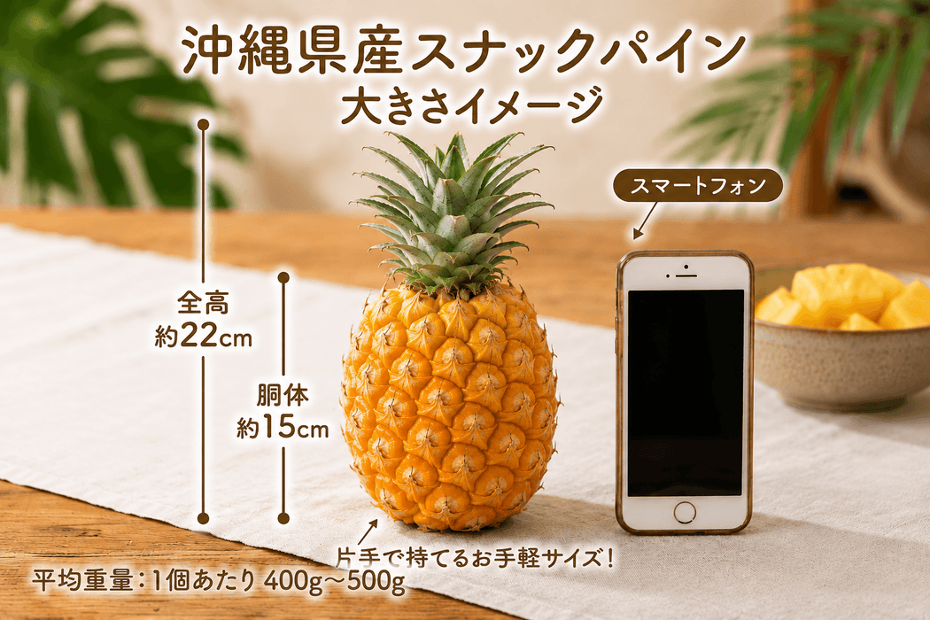 【スナックパイン】4球入り（総重量1.8kg以上目安） 芯まで甘い濃厚な甘さ