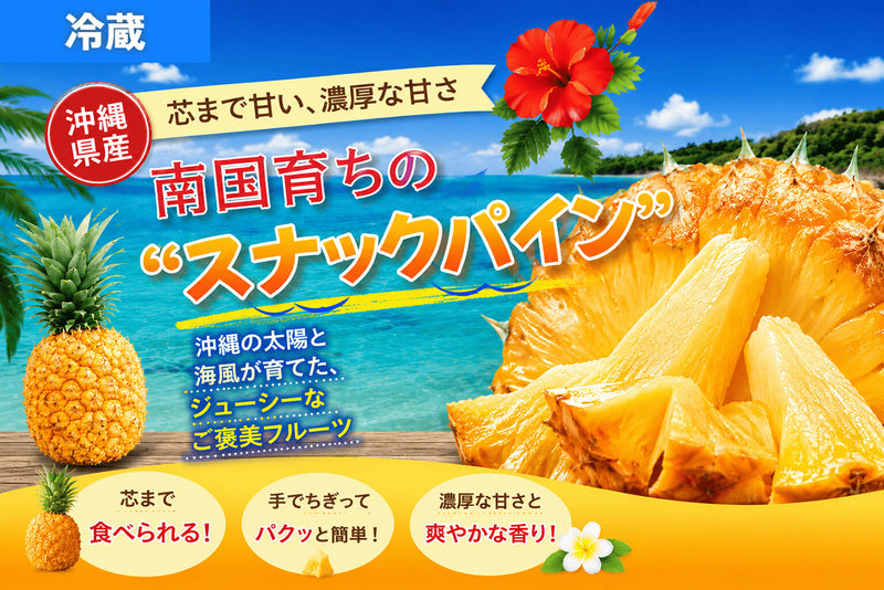 【スナックパイン】4球入り（総重量1.8kg以上目安） 芯まで甘い濃厚な甘さ