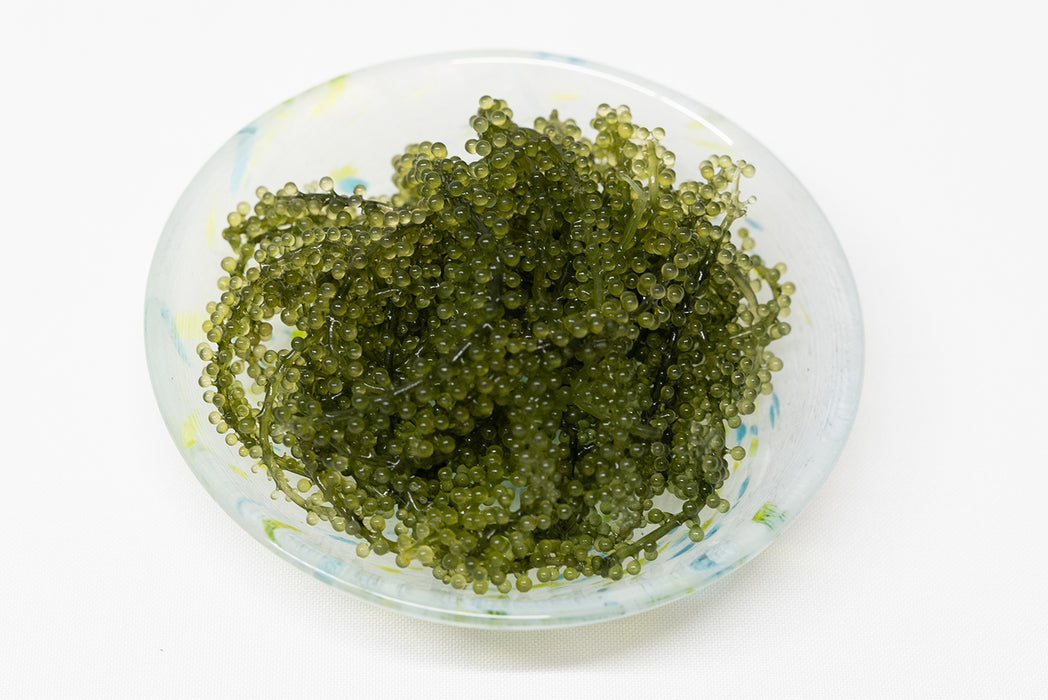 海ぶどう 40ｇ