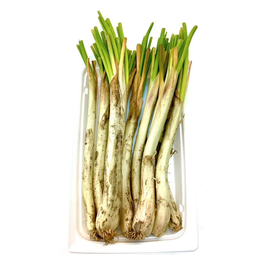生島らっきょう 1束（約120g） — 沖縄産直市場オンラインストア